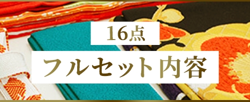 16点フルセット内容